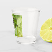 Calico Katze in den Zinnien Schnapsglas (Rechts)