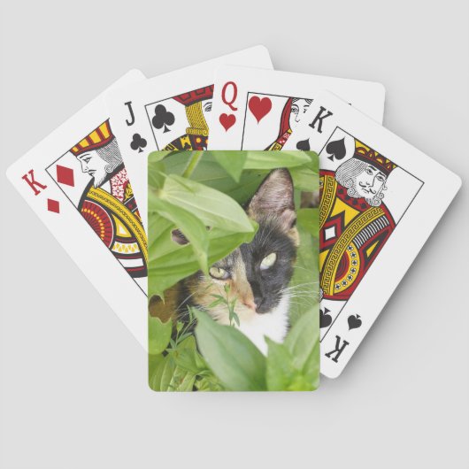Calico Katze in den Zinnien Spielkarten (Rückseite)