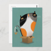 Calico-Katze in Kiste Postkarte (Vorne/Hinten)