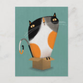 Calico-Katze in Kiste Postkarte (Vorderseite)