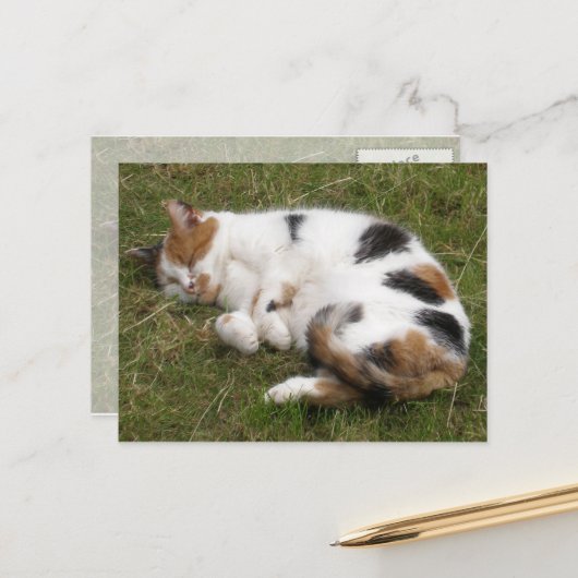 Calico Katze liegt auf dem Gras Postkarte (Vorderseite/Rückseite Beispiel)