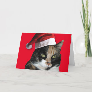 Calico Katze mit einem Santa Claus Hat Feiertagskarte
