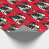 Calico Katze mit einem Weihnachtsmann Geschenkpapier (Ecke)