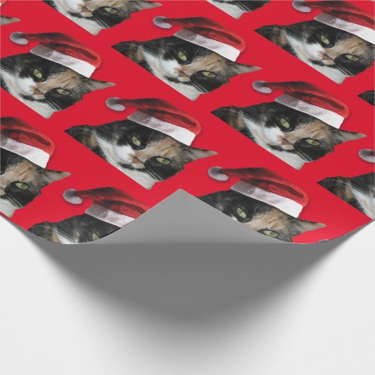 Calico Katze mit einem Weihnachtsmann Geschenkpapier (Ecke)