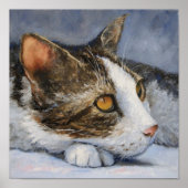 Calico Katze mit gelben Augen Portrait Poster (Vorne)