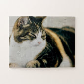 Calico Katze Schlaf Ruhe Puzzle Katze Lover (Horizontal)