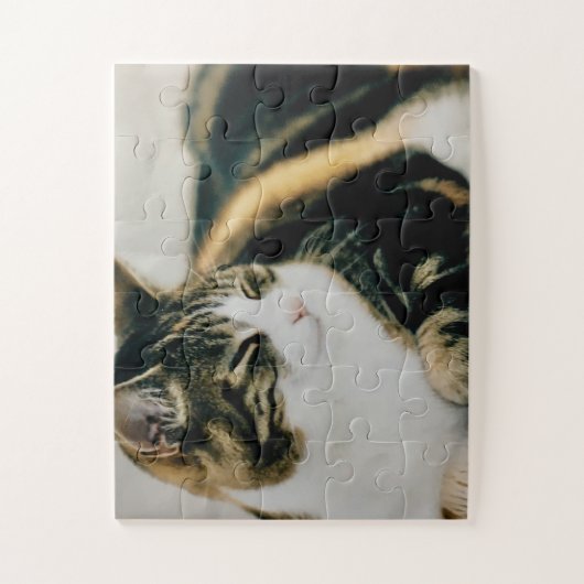 Calico Katze Schlaf Ruhe Puzzle Katze Lover (Vertikal)