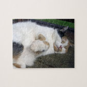 Calico Katze schläft draußen Puzzle (Horizontal)
