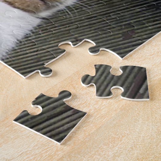 Calico Katze schläft draußen Puzzle (Seite)