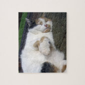 Calico Katze schläft draußen Puzzle (Vertikal)