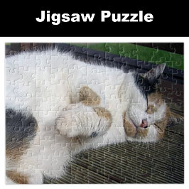 Calico Katze schläft draußen Puzzle