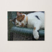 Calico Katze schläft Puzzle (Horizontal)