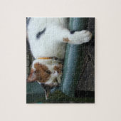 Calico Katze schläft Puzzle (Vertikal)