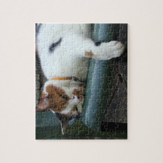 Calico Katze schläft Puzzle (Vertikal)