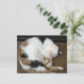Calico-Katze schlurfend auf einer Türmatte Postkarte (Stehend Vorderseite)