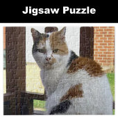 Calico-Katze sitzt auf der Decke Puzzle