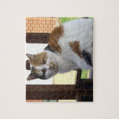 Calico-Katze sitzt auf der Decke Puzzle (Vertikal)