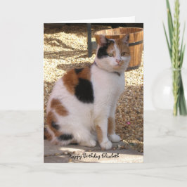 Calico Katze sitzt im Garten Geburtstagskarte Karte