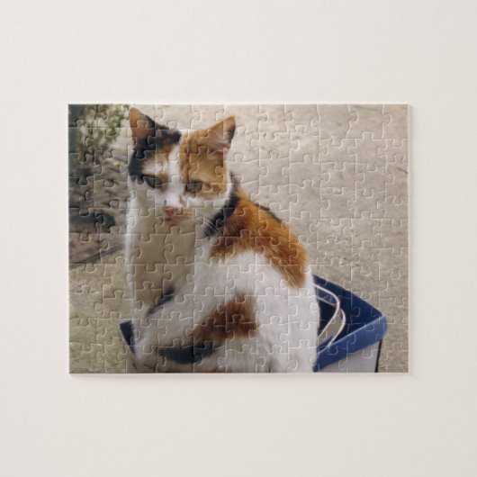Calico Katze sitzt in einer Kiste im Garten Puzzle (Horizontal)