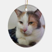 Calico Keramik Ornament (Links)