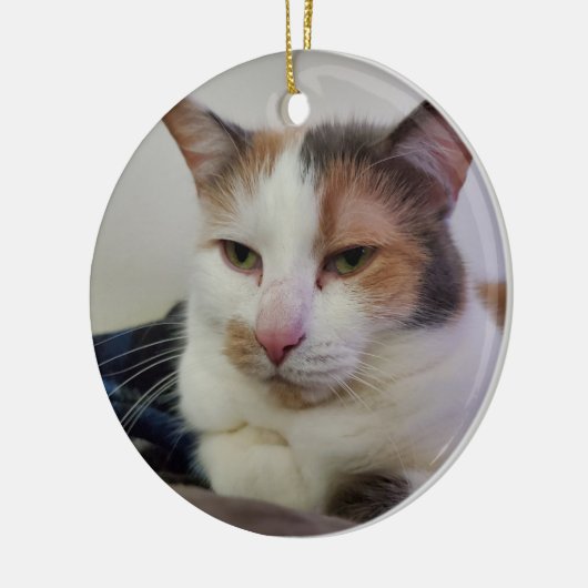 Calico Keramik Ornament (Links)
