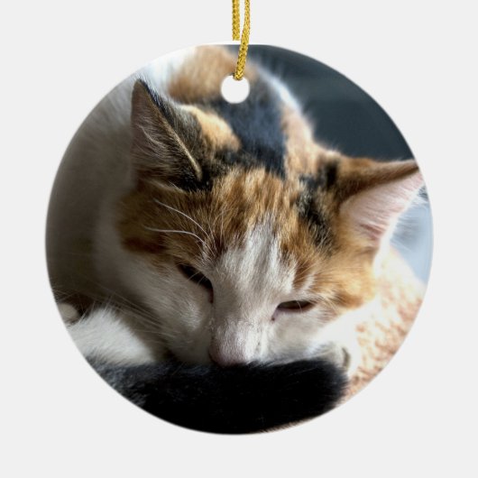 Calico Keramik Ornament (Vorne)