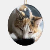 Calico Keramik Ornament (Links)
