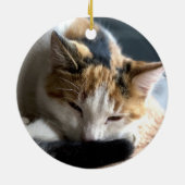 Calico Keramik Ornament (Hinten)