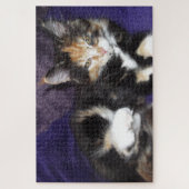 Calico kitten auf lila Farbfoto Puzzle (Vertikal)