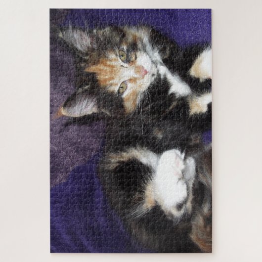 Calico kitten auf lila Farbfoto Puzzle (Vertikal)