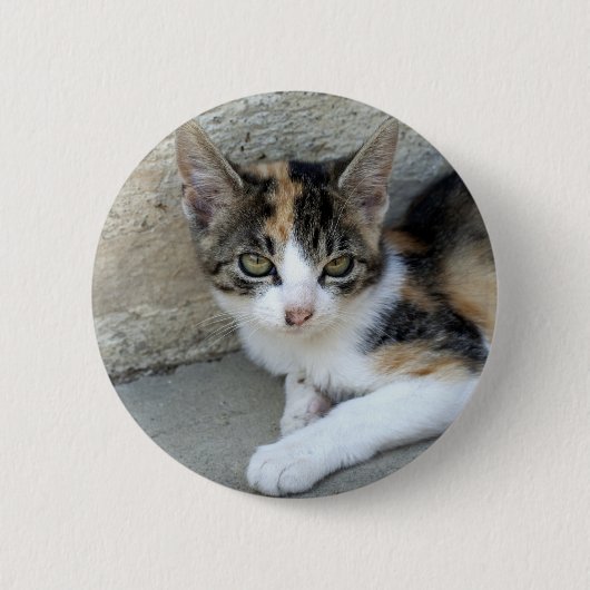 Calico Kitten Button (Vorderseite)