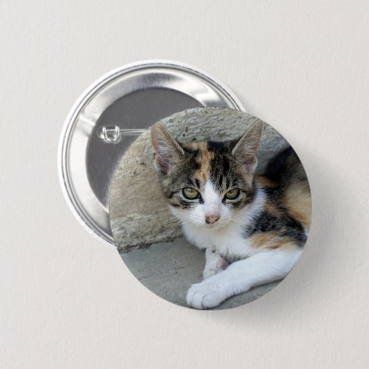 Calico Kitten Button (Vorne & Hinten)