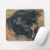 Calico Kitten Face Mousepad (Mit Mouse)