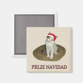 Calico Kitten Feliz Navidad Magnet (Vorderseite/Rückseite)
