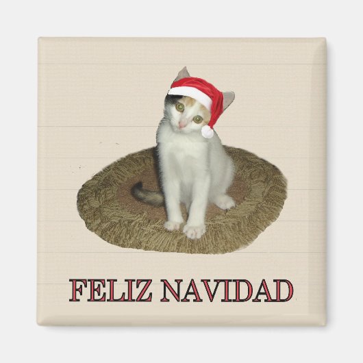 Calico Kitten Feliz Navidad Magnet (Vorne)