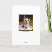 Calico Kitten Happy Birthday Karte (Rückseite)