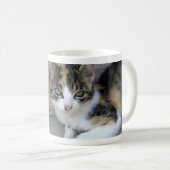 Calico Kitten Kaffeetasse (VorderseiteRechts)
