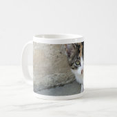 Calico Kitten Kaffeetasse (Vorderseite Links)