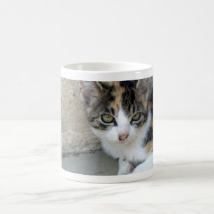 Calico Kitten Kaffeetasse