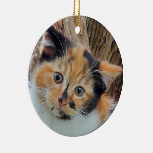 Calico Kitten Keramik Ornament (Rechts)