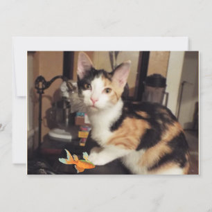 Calico Kitten mit Fisch-Geschenk für Sie flache Ka Einladung