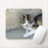 Calico Kitten Mousepad (Mit Mouse)