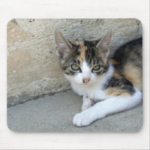 Calico Kitten Mousepad