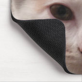 Calico Kitten mousepad (Ecke)