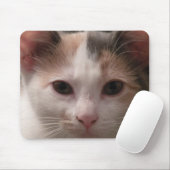 Calico Kitten mousepad (Mit Mouse)