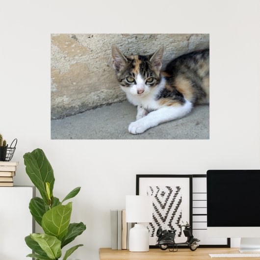 Calico Kitten Poster (Heimbüro)