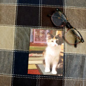 Calico Kitten Postkarte