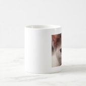 Calico Kitten Tasse (Mittel)