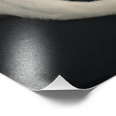 Calico Kitty Cat Fotodruck (Ecke)