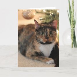 Calico Kitty unter Weihnachtsbaum Feiertagskarte